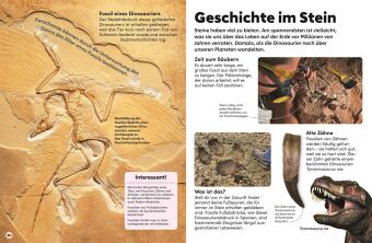 memo Wissen Kids. Steine und Mineralien
