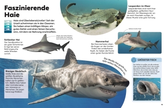 memo Wissen Kids. Das Meer 
