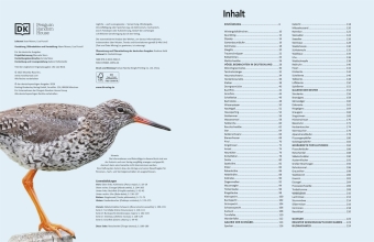 Heimische Vögel lebensgroß