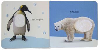 Erstes Lernen Fühl-Leporello. Tiere
