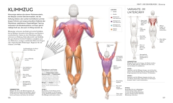 Radsport - die Anatomie verstehen 