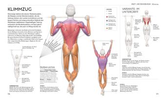 Radsport - die Anatomie verstehen