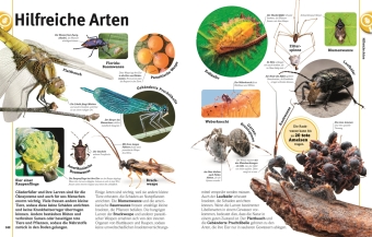 Unsere Welt in 1000 Bildern. Insekten