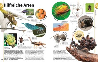 Unsere Welt in 1000 Bildern. Insekten