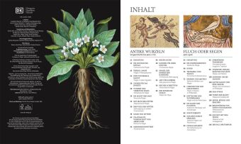Die Geschichte von Magie, Hexerei & Okkultem