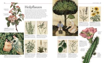 Die Geschichte von Magie, Hexerei & Okkultem