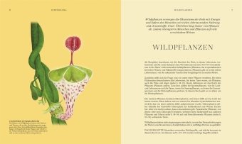 Wildpflanzen