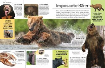 memo Wissen. Tiere