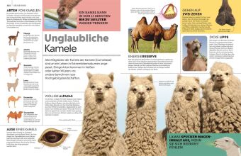 memo Wissen. Tiere