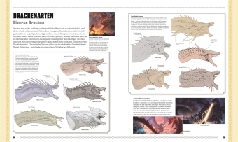 Dungeons & Dragons Das Buch der Drachen