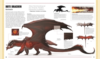 Dungeons & Dragons Das Buch der Drachen