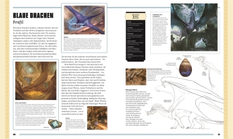 Dungeons & Dragons Das Buch der Drachen