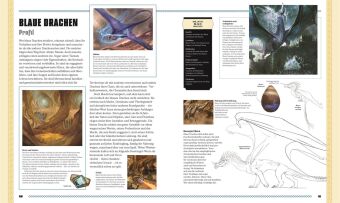 Dungeons & Dragons Das Buch der Drachen
