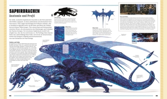 Dungeons & Dragons Das Buch der Drachen