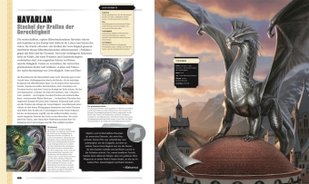 Dungeons & Dragons Das Buch der Drachen