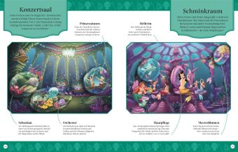 Disney Prinzessin: Unsere magische Welt