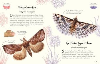 Wundervolle Welt - Kleine Schätze. Schmetterlinge