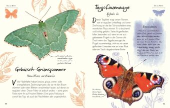 Wundervolle Welt - Kleine Schätze. Schmetterlinge