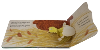 Mein Pop-up-Buch zum Staunen. Wo kommst du her, kleines Küken? 
