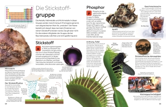 memo Wissen. Chemische Elemente 