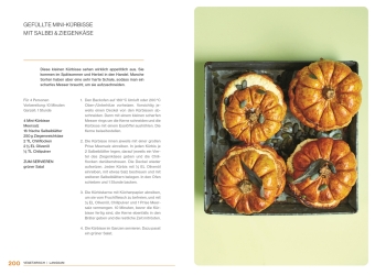 Ofen Express vegetarisch