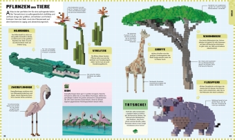 Minecraft Weltatlas 
