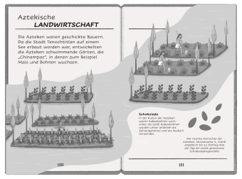 Die Zeit-Agenten 8. Kakao-Klau bei den Azteken 