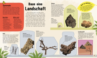 Mein Mini-Garten im Glas 