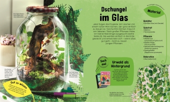 Mein Mini-Garten im Glas 