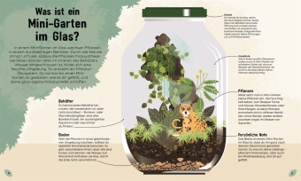 Mein Mini-Garten im Glas 