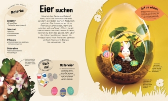 Mein Mini-Garten im Glas 