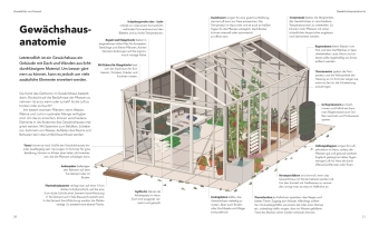 Alles im Gewächshaus 