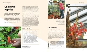 Alles im Gewächshaus 