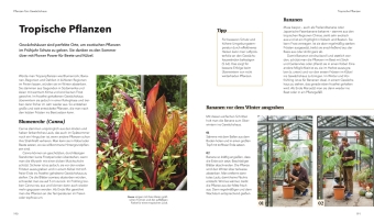 Alles im Gewächshaus 