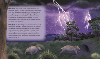 Tiergeschichten zum Träumen. Zauber der Nacht 