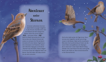 Tiergeschichten zum Träumen. Zauber der Nacht 