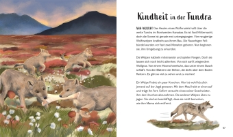 Tiergeschichten zum Träumen. Zauber der Nacht 