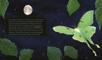 Tiergeschichten zum Träumen. Zauber der Nacht 