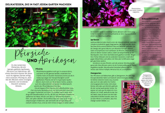 Ulmers Gartenkalender 2027