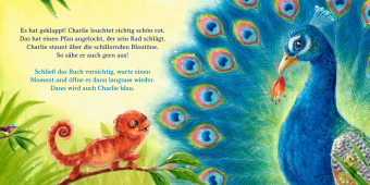Schau mal, alle meine Farben