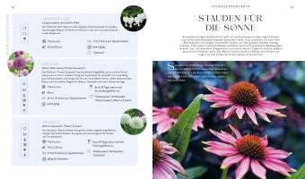 Blütenpracht und Ernteglück - Dein Weg zum Traumgarten