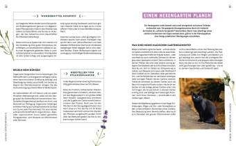 Gartenmomente: Magie im Garten