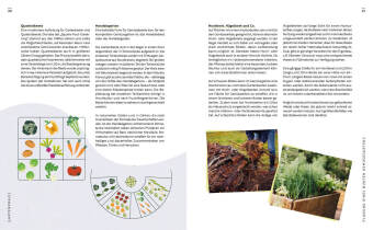 Gartenmomente: Gemüse