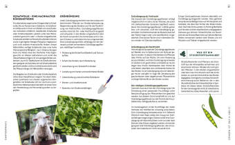 Gartenmomente: Gemüse
