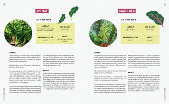 Gartenmomente: Gemüse