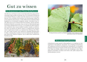 Das Gemüsegarten 1 x 1