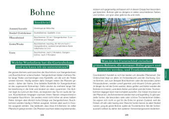 Das Gemüsegarten 1 x 1