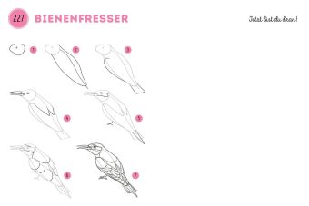 300 Motive zeichnen - Tiere