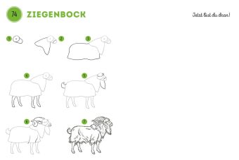 300 Motive zeichnen - Tiere
