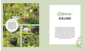 Mein wilder, bunter Garten - Einfach naturnah gärtnern